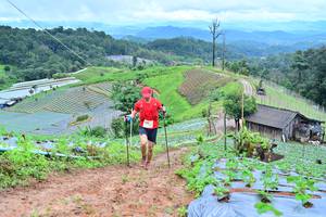 BIB: 1597
                            <button type="button" onclick="openModal(13378665)" class="btn btn-primary btn-sm float-right btn-popup" data-toggle="modal" data-target=".modal-high-quality">
                        <i class="fas fa-shopping-cart"></i> Add to Cart
                    </button>
                                            <button type="button" onclick="isThisMe(13378665, true)" class="btn btn-success btn-sm float-right btn-popup btn-isme hidden" data-toggle="tooltip" data-placement="bottom" title="นี่คือรูปของคุณใช่ไหม คลิกที่นี่เพื่อเอาเข้าอัลบั้ม">
                        <i class="fas fa-plus"></i> Add to album
                    </button>
                    <button type="button" onclick="isThisMe(13378665, false)" class="btn btn-warning btn-sm float-right btn-popup btn-isnotme hidden">
                        <i class="fas fa-ban"></i> Remove from album
                    </button>